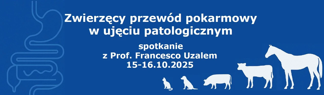 grafika ilustracyjna